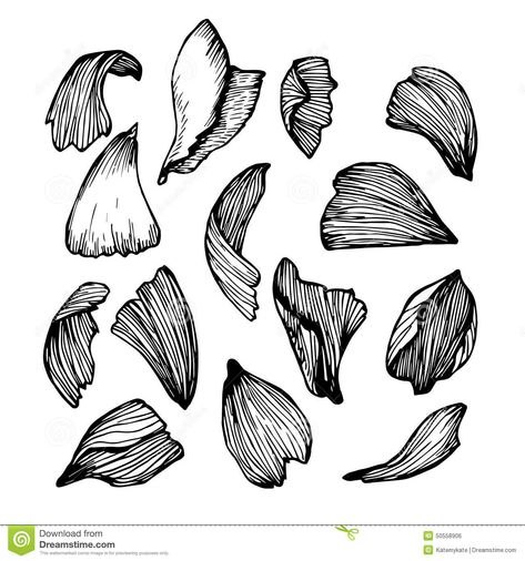 Rose Petals Drawing, Petals Drawing, Falling Drawing, Botanical Line Drawing, Beautiful Flower Drawings, Alice In Wonderland Theme, Hand Drawn Vector Illustrations, Rose Leaves, Floral Illustration