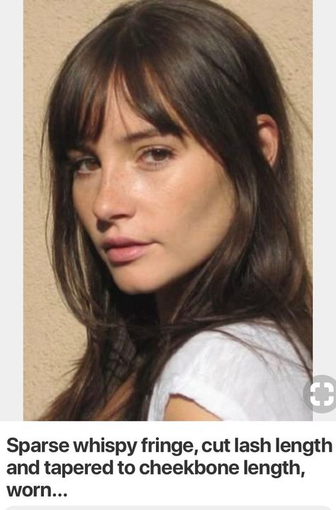 Loose Fringe Bangs, Side Part With Fringe, Flimsy Bangs Hair, Messy Haircut Women, 70s Haircut Bangs, Jane Birkin Fringe, Wispy 90s Bangs, 60s Fringe Hair, Cheekbone Bangs