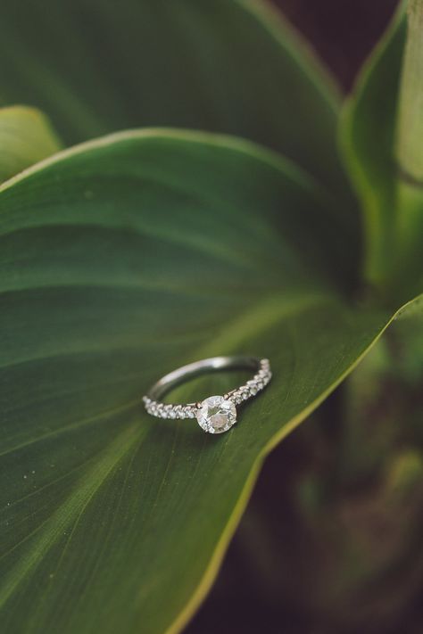 Round engagement ring with diamond band on large tropical leaf  #ringshot #ringshotinspo #rounddiamondring #macrophotography Rings Product Shoot, Ring Photoshoot Ideas Aesthetic, Ring Product Shoot, Rings Videography Ideas, Ear Ring Photography, Outdoor Jewelry Photography, Diamond Jewellery Photoshoot, Ring Photography Creative, Rings Photoshoot Ideas