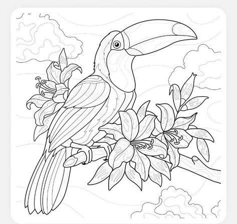 Toucan Drawing, Flora And Fauna Drawing, Mom Coloring Pages, Dragon Tattoo Ideas, Bird Coloring, Animal Tattoo Ideas, Blackwork Designs, Whimsical Art Paintings, Fabric Painting Techniques