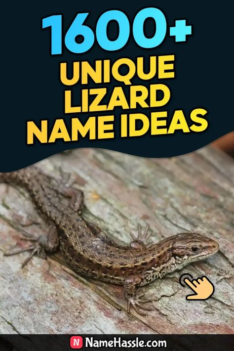 Cool And Funny Lizard Names Ideas (Generator) Lizard Names, Names Generator, Funny Lizards, Pet Lizards, Fantasy Names, List Of Animals, Names Ideas, Name Ideas, Unique Names