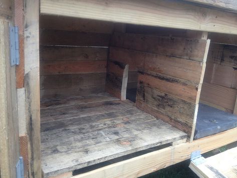 Rabbit Hutch Built From Pallets | por UrbanRepairProject Pallet Rabbit Cage, Pallet Rabbit Hutch Diy, Pallet Rabbit Hutch, Aesthetic Homestead, Pallet Hutch, Rabbit Cages Outdoor, Diy Rabbit Cage, Diy Rabbit Hutch, Rabbit Diy