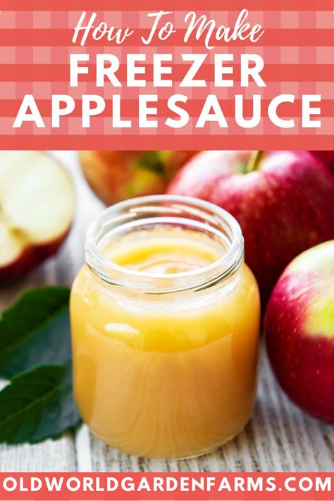 A photo of homemade freezer applesauce that is ready to be served and enjoyed. Photo from Canva Homemade Applesauce Freezer, Freezing Homemade Applesauce, Freezing Applesauce Recipes, Homemade Applesauce For Baby, How To Freeze Applesauce, Freezer Apple Recipes, Freezing Applesauce, Frozen Applesauce, Freezer Applesauce