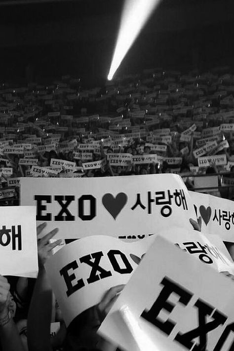 Exo Banner, Lightstick Exo, Exo Logo, Exo Concert, Exo Aesthetic, Exo Lockscreen, Exo Wallpaper, Exo We Are One, Kpop Exo