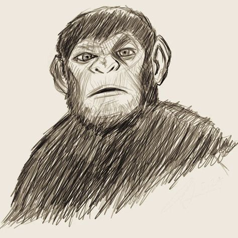 A sketch of Caesar from Rise of the Planet of the Apes. #drawing #sketch #planetoftheapes #andyserkis Ape Drawing, Tutorials Drawing, Planet Of The Apes, Art Tutorials Drawing, Drawing Sketch, Drawing Tutorial, Art Tutorials, Instagram A, Planets