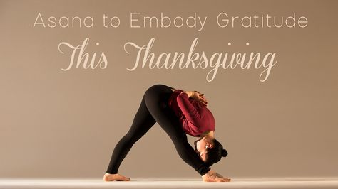 Pre-dinner and post-dinner poses to inspire gratitude and digestion! Thanksgiving Yoga Flow, Yoga For Gratitude, Gratitude Yoga Sequence, Thanksgiving Yoga, Yoga Class Themes, Gratitude Yoga, Vinyasa Yoga Sequence, Yoga Goals, Yin Yoga Sequence