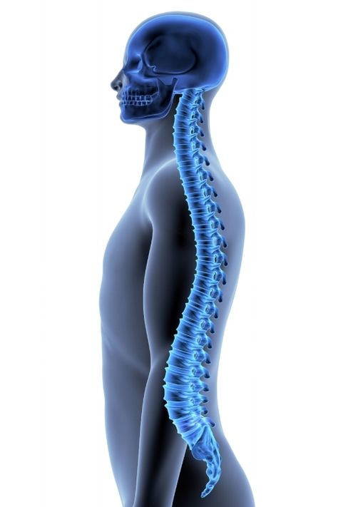 The optimal and most efficient way to work your body – spine and pelvis is in neutral.  If your pelvis is neutral it allows your spine to be neutral, in its natural form.  We need to develop muscle strength around our bones to maintain the alignment of our bodies and thus prevent collapsing or degenerating over time. The “neutral” in that sense would be vital as we want to be strong and keep our bones in correct alignment. When you start to build the muscles and the bones aren’t in alignme Cluster Headache, Headache Medicine, Natural Form, Natural Forms, Migraine, Our Body, Headache, Muscles, Pilates