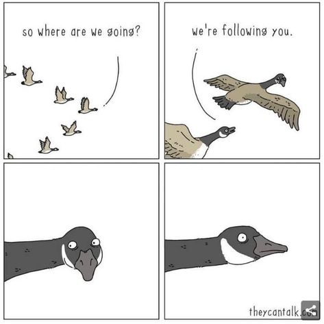 Animal Comics, Funny Animal Comics, Talking Animals, Funny Comments, Memes Humor, Digital Comic, Comic Page, Comic Panels, Top Funny