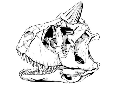 A recent drawing ive done using procreate Carnotaurus Tattoo, Carnotaurus Skull, Using Procreate, Independent Artist, Phone Cases, T Shirts