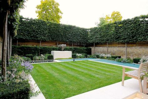 Screening Ideas, Formal Chic, Privacy Landscaping, Backyard Plan, Cheap Backyard, Garden Privacy, Back Garden Design, Backyard Privacy, Garden Screening