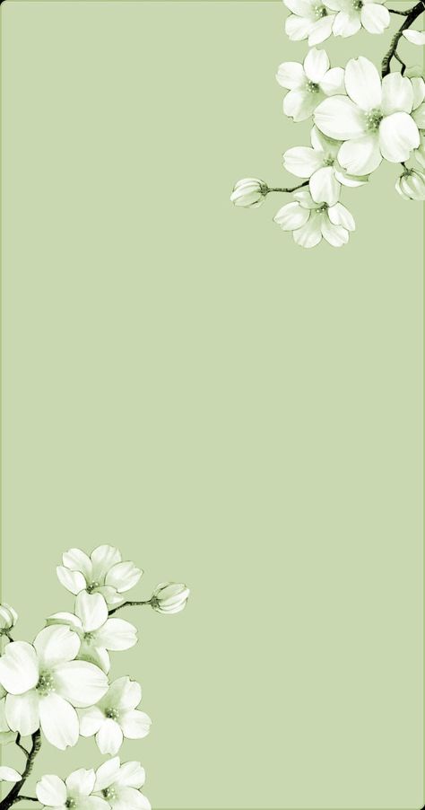 Cute Background Pictures, Fall Background Wallpaper, Iphone Wallpaper Texture, Sage Green Wallpaper, Purple Flowers Wallpaper, Aesthetic Lockscreens, Iphone Wallpaper Landscape, Wallpapers Desktop, Simple Iphone Wallpaper