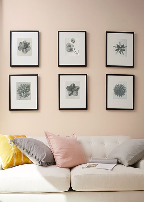 Fresh Pale and Pastel Paint Colors - Benjamin Moore's Dusty Trail 1157. Via @benjamin_moore Gray Throw Pillows, Blush Pink Paint, Light Blue Paint Colors, Pastel Paint Colors, Pink Painted Walls, Orange Paint Colors, Cream Paint Colors, Pink Bedroom Walls, Cream Pastel