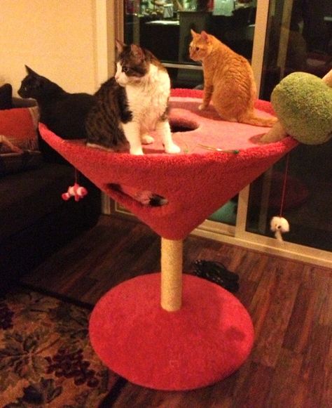 Chat Diy, Two Cats, Cat Condo, Scratching Post, Cat Room, Cat Diy, Cat Tree, Cat Furniture, Funny Animal Pictures