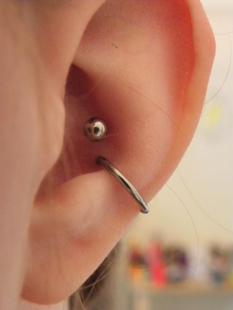 My Double Conch- one bar+ one ring :) Double Conch Piercing, Body Peircings, Double Conch, Conch Piercing Stud, Funky Tattoos, Ear Art, Cute Piercings, Conch Piercing, Body Modifications