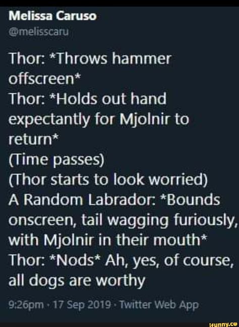 Marvel Headcanon, Thor Hammer, Tail Wagging, Funny Marvel Memes, Funny Marvel, Marvel Avengers Funny, Dc Memes, Avengers Memes, Marvel Jokes