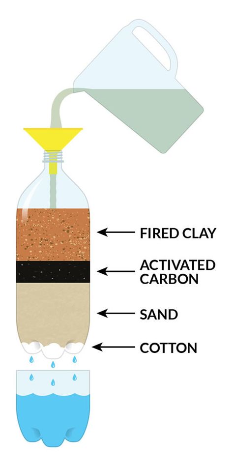 Can you make muddy water crystal clear? Water Filter Experiment, Water Filtration Experiment, Water Filtration Diy, Water Filter Diy, Environmental Science Projects, What Is Activated Charcoal, Water Experiments, Water Purification System, Diy Water