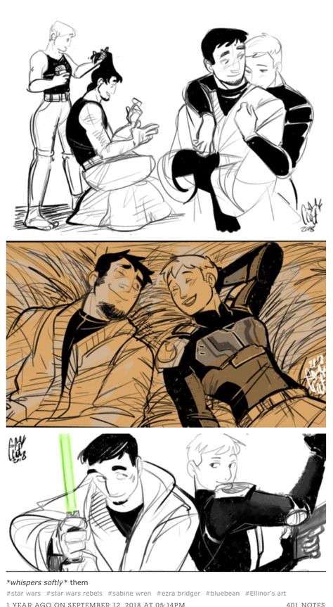 Star Wars Rebels Fanart Ezra, Star Wars Rebels Fanart, Sabine And Ezra, Rebels Fanart, Ezra And Sabine, Blaster Star Wars, Transformers Memes, Dark Side Star Wars, Star Wars 2