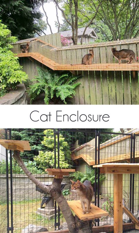 A reader built this cat enclosure inspired by my own DIY cat enclosure. It turned out fantastic. Katt Hus, Pet Craft, Diy Cat Enclosure, Katt Grejer, Cat Patio, Outdoor Cat Enclosure, Cat Run, Pictures Of Cats, Cat Enclosure