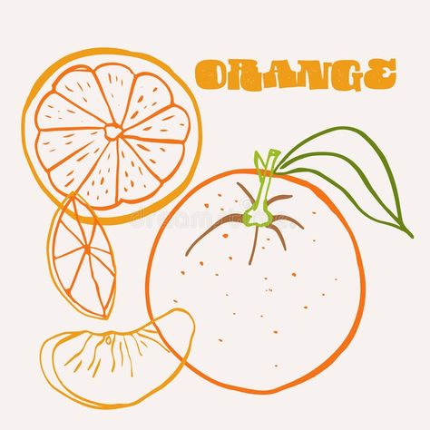 Fruit Line Illustration, Orange Line Drawing, Lime Branding, Orange Tattoo Fruit, Line Art Fruit, Orange Doodles, Orange Line Art, Orange Doodle, Colorful Line Art