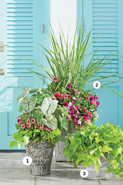 Bring a Bold Trio Together | We visited the lush Florida Panhandle and brought home three of their best planting ideas. Jason Daniel, horticulturist at Clay Garden & Gifts in Seagrove Beach, Florida, has been gardening on the Gulf Coast for almost 25 years. He and his staff create hundreds of containers each year, so he knows a thing or two about making them pretty and keeping them happy. Read on for Daniel's best planting advice and stunning container ideas he created on the incredible Florida Container Plants For Sunny Areas, South Florida Container Garden, Outdoor Plants Arrangements, Florida Planters Container Garden, Southern Porch Plants, Plants In Pots Around The Pool, Container Gardening Recipes, Heat Resistant Container Plants, Large Container Garden Ideas