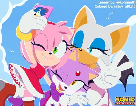 Sonic Official Art, Shadow And Rouge, Blaze The Cat, Amy The Hedgehog, Rouge The Bat, Sonic Heroes, Sonic And Amy, Sonic Fan Characters, Blue Hedgehog