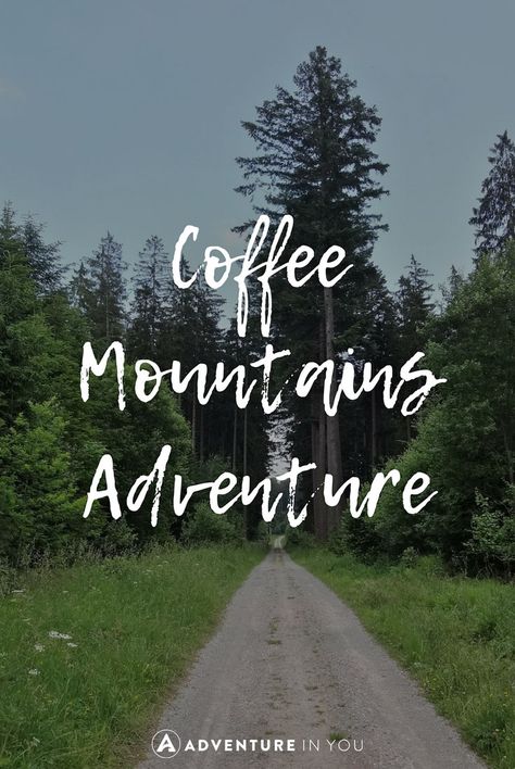 Mountains Quotes, New Adventure Quotes, Mountain Quotes, Loving Quotes, Design Quotes Inspiration, Inspire Quotes, Hiking Quotes, Quotes Pics, Dinner Healthy