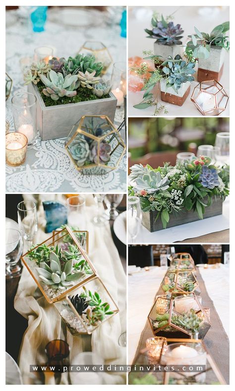 Succulents Table Centerpiece, Succulents Wedding Centerpieces Wedding Table Decor, Succulent Wedding Shower Ideas, Suculentas Wedding Ideas, Succulent Wedding Ideas, Rustic Succulent Wedding, Wedding Table Decorations Succulents, Succulent Theme Wedding, Rustic Succulent Centerpiece