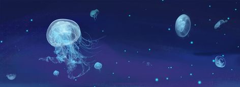 Jellyfish Discord Banner Gif, Jellyfish Banner Twitter, Jellyfish Twt Header, Jellyfish Medium Widget, Jellyfish Laptop Wallpaper 4k, Jellyfish Widget Long, Jellyfish Aesthetic Banner, Ghibli Widgetsmith, Jellyfish Discord Banner