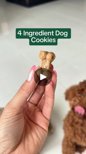 Food Recipes For Dogs, Recipes For Dogs, Pet Recipes, Healthy Dog Treats Homemade, Instagram Dog, Dog Fun, Dog Treats Homemade, Doggie Treats, Dog Supplements