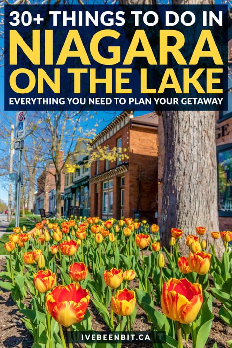 30+ Charming Things to Do in Niagara-on-the-Lake From a Local » I've Been Bit! Travel Blog Niagara Falls Vacation, Niagara Falls Trip, Packing Travel, Gallery Cafe, Ontario Travel, Local Fruit, Niagara On The Lake, Canada Ontario, Canada Travel Guide