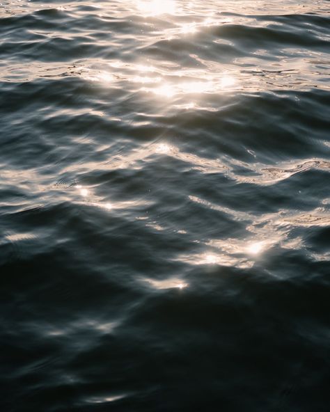 Water brings me peace 🌊 #travercecity #waterphotography #sunlight Water Aesthetic Photography, Aesthetic Water Pictures, Aesthetic Water, Water Aesthetic, Water Pictures, Water Photography, Aesthetic Photography, Painting Ideas, Close Up