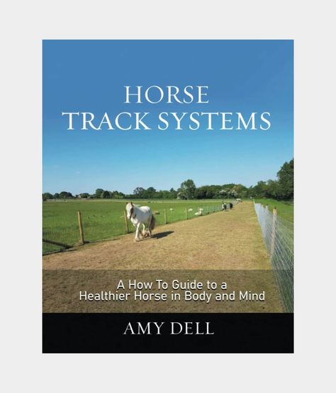 Horse Track Systems - 10 Brilliant Budget Ideas 5 Paddock Paradise, Healthy Horses, Budget Tracking, Free Horses, Astro Turf, Miniature Horse, Physical Wellness, Tracking System, Body And Mind