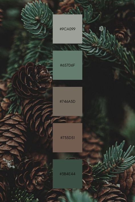 Green Moody Color Palette, Dark Rustic Color Palette, Tavern Color Palette, Colors That Go With Dark Green, Forest Green Palette, Dark Green Color Palette, 8 Color Palette, Color Design Inspiration, House Color Palettes