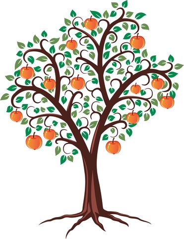 dreamstime_xs_21590402 Apple Tree Drawing, Tree Painting Easy, Apple Tree Flowers, Pine Tattoo, Fruit Sketch, Oak Tree Tattoo, Willow Tree Tattoos, Family Tree Tattoo, Tree Painting Canvas