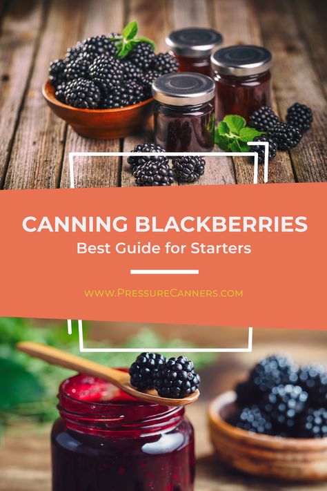 Canning blackberries is neither frightening nor time-consuming. Using the correct method and the ideal canning tools, you can easily can small batches of blackberries at home. Canning Blackberries Whole, Canning Oranges, Canning Blackberries, Homestead Canning, Homemade Blackberry Jam, Canning Tools, Chicken Thights Recipes, Blackberry Cobbler Recipe, Freezing Food