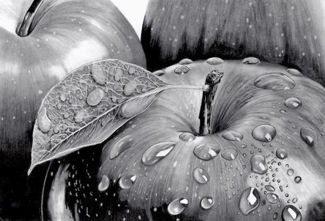 Apple Shading, Still Life Pencil Shading, Apple Still Life, Apple Drawing, Faber Castell Pencil, Art Charcoal, Bristol Board, Buy Apple, Hyperrealism