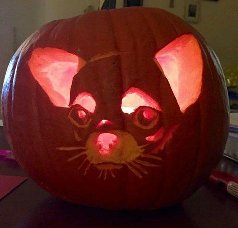 Halloween chi pumpkin Chihuahua Pumpkin, Bacon Potato Soup, Bacon Potato, Bacon Soup, Tic Toc, Cute Chihuahua, Chihuahua Love, Pumpkin Faces, Potato Soup