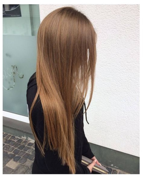 Light Mousy Brown Hair, Hairstyles For Thinning Hair, Silver Pixie, Women's Haircut, Honey Hair Color, Warm Scarves, Honey Brown Hair, Extreme Hair, Honey Hair