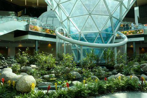 Doha Airport, Hamad International Airport, Airport Lounge, Airports Terminal, Airport Hotel, Heathrow, Plant Nursery, Tropical Garden, Doha