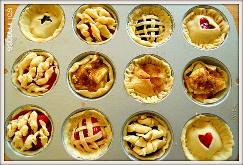 Picnic Hack, Mini Fruit Pies, Tiny Pies, Fruit Pies, Apple Pies, Picnic Ideas, Fruit Pie, Perfect Picnic, Mini Pies