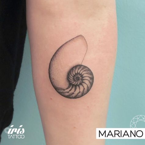 Nautilus Shell Tattoo, Ammonite Tattoo, Nautilus Tattoo, Golden Ratio Tattoo, Hannah Tattoo, Moving On Tattoos, Seashell Tattoos, Octopus Drawing, Shell Tattoos