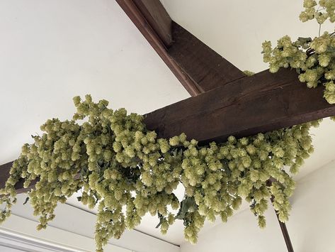 Angelika Smith on X: "@NatureLark I love hops … put a big garland over the beam in the sitting room … 😴🥱😁 https://t.co/3wRXNDOblY" / X Garland On Beams, Sitting Room, Beams, I Love