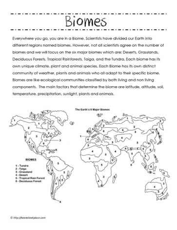 Biome Facts and Map of Biomes                                                                                                                                                                                 More Biomes Activities, Science Materials, Biomes Project, Science Printables, Start Homeschooling, Montessori Geography, Study Biology, 7th Grade Science, Teaching Geography