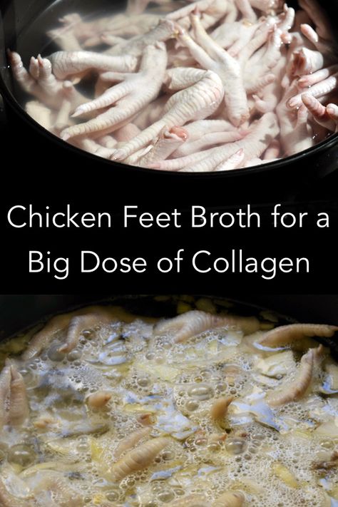 Eating a chicken breast won't provide collagen. You add to your body's collagen stores by eating a broth from the bones of the chicken, especially the feet. It's easy to do and tastes very nourishing. Excellent to plump out wrinkles on your face if eaten regularly. Collagen Bone Broth Recipe, Chicken Bone Broth Recipe, Broth Diet, Bone Broth Diet, Making Bone Broth, Homemade Bone Broth, Bone Broth Recipe, Broth Recipes, Health Journal