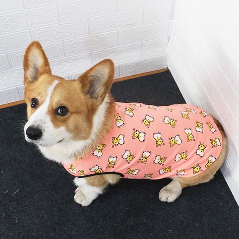 Corgi Outfits, Corgi Clothes, Human, Clothes