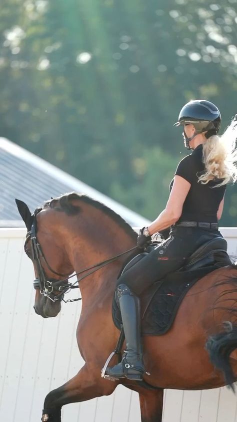 Horse Riding Dressage, Dressage Aesthetic, Dressage Outfit, Dressage Videos, Horse Riding Videos, Horse Video, Horse Riding Aesthetic, Bryer Horses, Equestrian Dressage