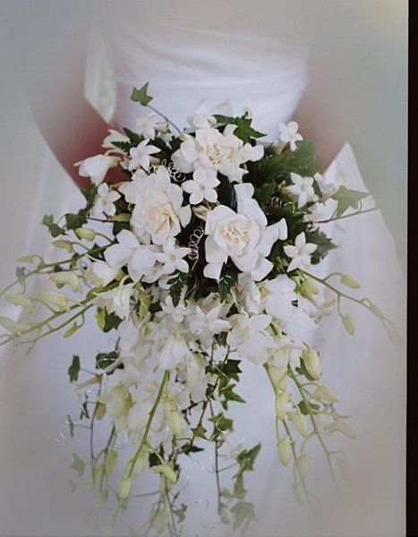 My Photo Album Wedding Flowers Photos on WeddingWire Shower Bouquet, White Rose Wedding Bouquet, Winter Shower, Cascading Bridal Bouquets, Newquay Cornwall, Winter Wedding Bouquet, Feather Wedding, Cascade Bouquet, White Wedding Bouquets