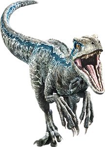 Blue | Jurassic Park wiki | FANDOM powered by Wikia Jurassic Park Raptor, Blue Jurassic World, Jurassic Park Movie, Dinosaur Tattoos, Fallen Kingdom, Dinosaur Images, Jurassic World Fallen Kingdom, Dinosaur Stickers, Jurassic World Dinosaurs