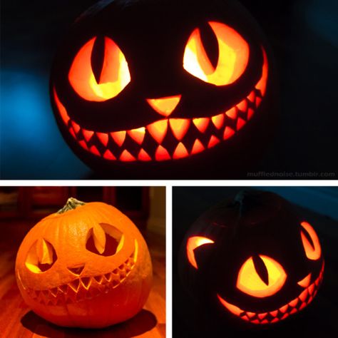 My Halloween pumpkin, The Cheshire Cat! I wanted... | mufflednoise * tumblr Cheshire Cat Pumpkin, Cat Pumpkin Carving, Pumkin Carving, Halloween Pumpkin Carving Stencils, Creative Pumpkin Carving, Pumpkin Carving Designs, Casa Halloween, Halloween Pumpkin Designs, Pumpkin Carving Patterns