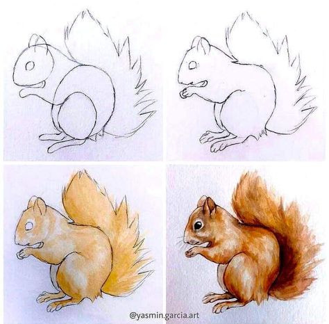 Watercolor Animals Easy Step By Step, Watercolour Animals Easy, Animal Drawings Sketches Step By Step, Watercolour Squirrel, Watercolor Animals Easy, Squirrel Drawings, Squirrel Sketch, Drawing Squirrel, Animal Sketches Easy